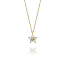 Collier LÉGENDE Étoile